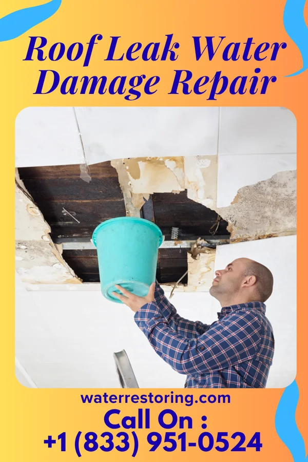 Roof Leak Water Damage Repair in Jacksonville, IL